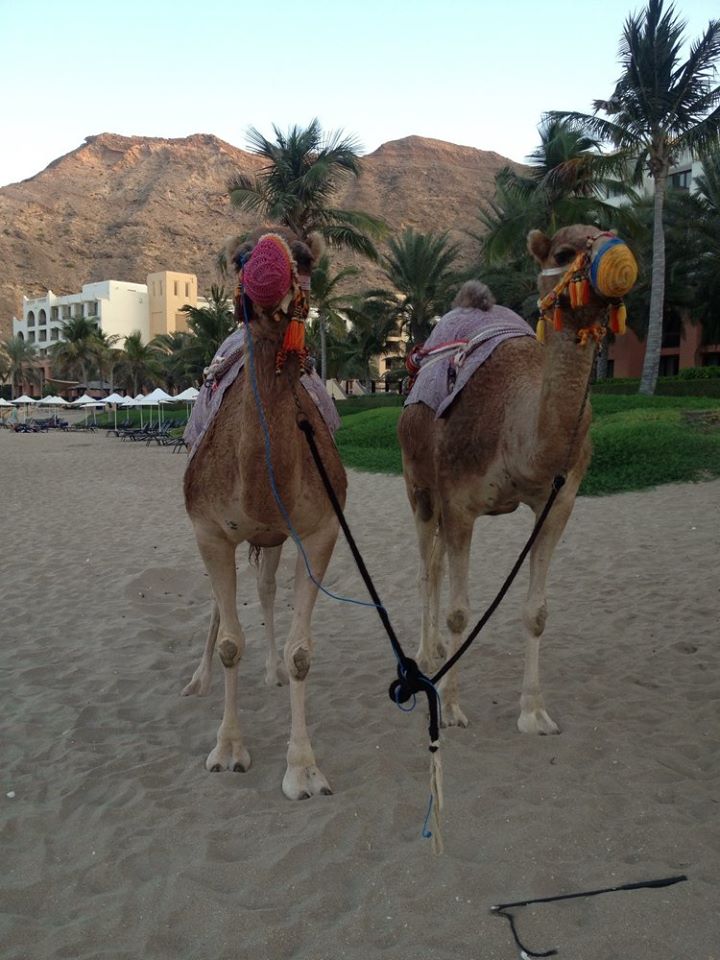 Shangri-la Muscat Oman www.gogoeverywhere.com